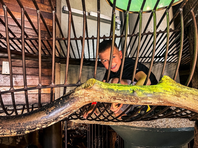 Smiling boy climbing inside a metal tunnel structure surrounded by tree branches at the City Museum in St. Louis.