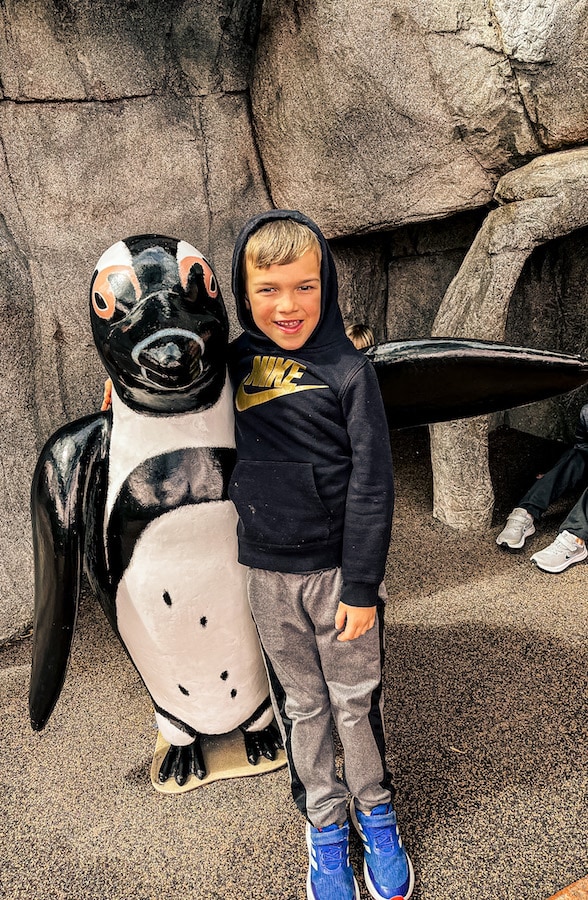 Boy posing with a penguin statue at Ripley's Aquarium of the Smokies in Downtown Gatlinburg, Tennessee.