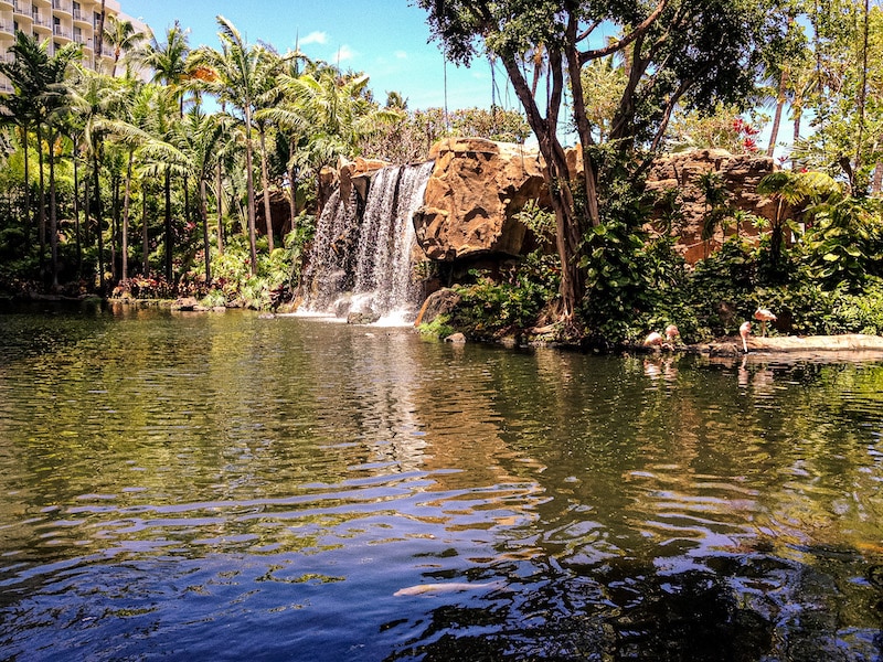 Waterfall and lagoon at the Westin Maui Resort and Spa, Kaanapali