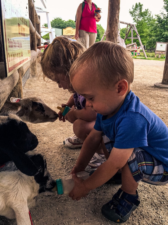 Young boy bottle feeding a goat at the Deanna Rose Children's Farmstead in Overland Park, Kansas.