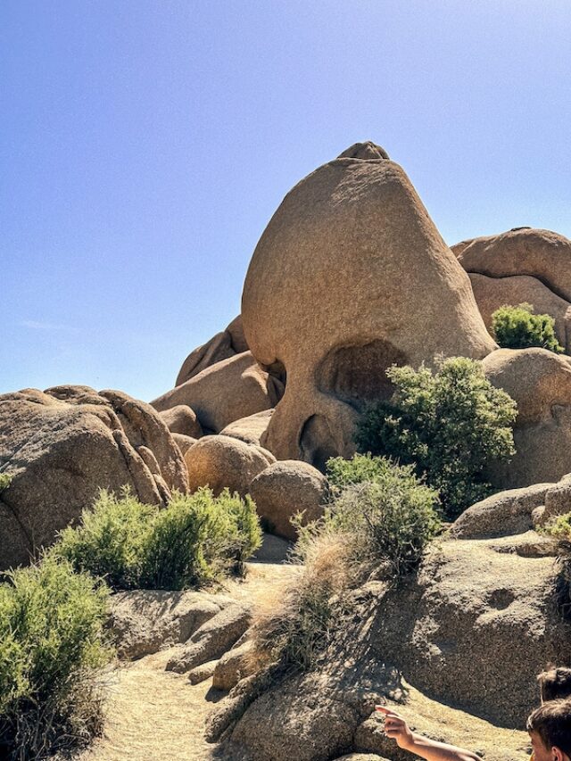 Best Hikes in Joshua Tree