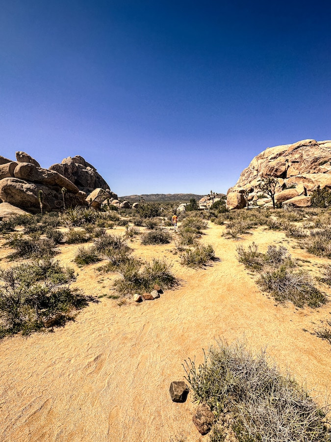 Desert trail with massive boulders in the background