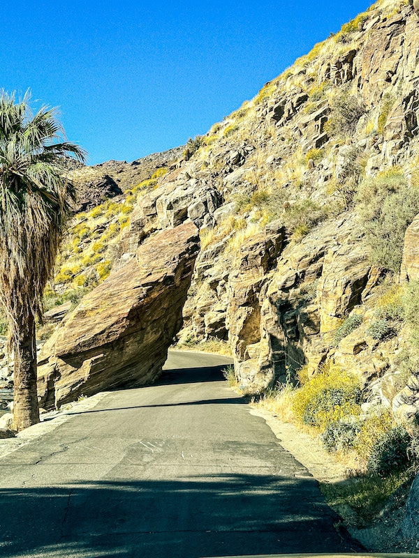 Road that cuts through a large rock on both sides
