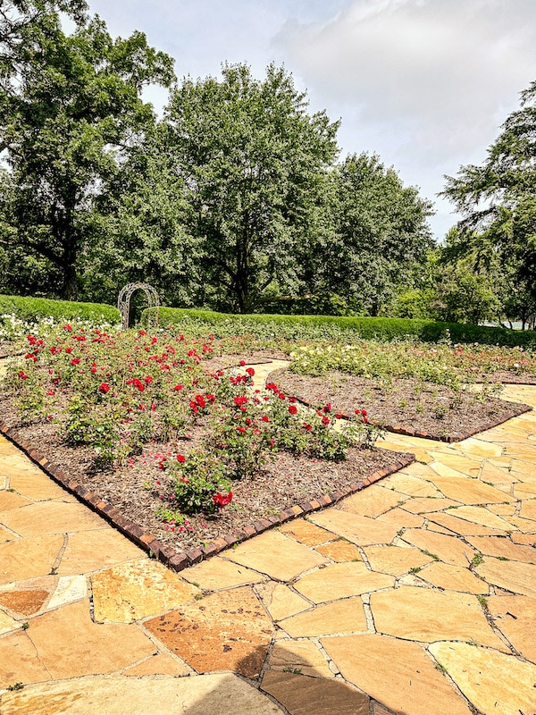 Clare and Miles Mills Rose Garden with two plots of roses plus the stone walkway.
