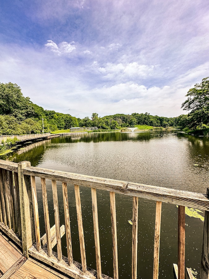 Lagoon with a wooden boardwalk surrounding it and trees around the entire area.