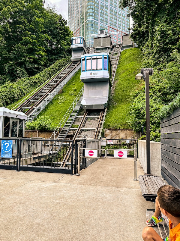 View of the Falls Incline Railway car.