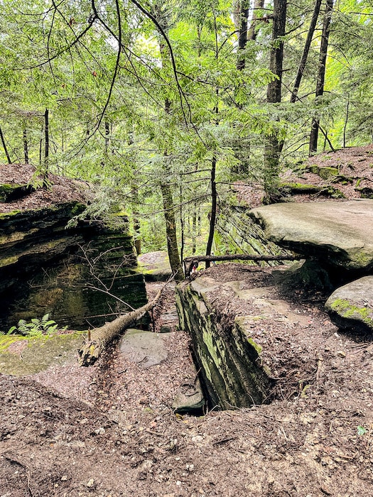 Large rock platforms amongst the trees along Ledges Trail in Cuyahoga Valley National Park