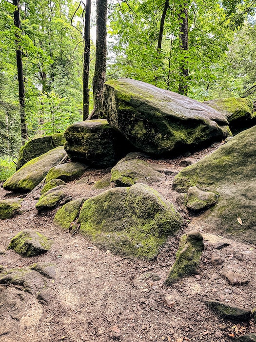 Large flat rock and other rocks with moss on them along Ledges Trail