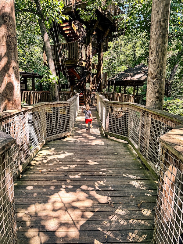 Young boy walking on the accessible boardwalk between the picnic table area at Treetop Village and the rest of Tree Adventure.