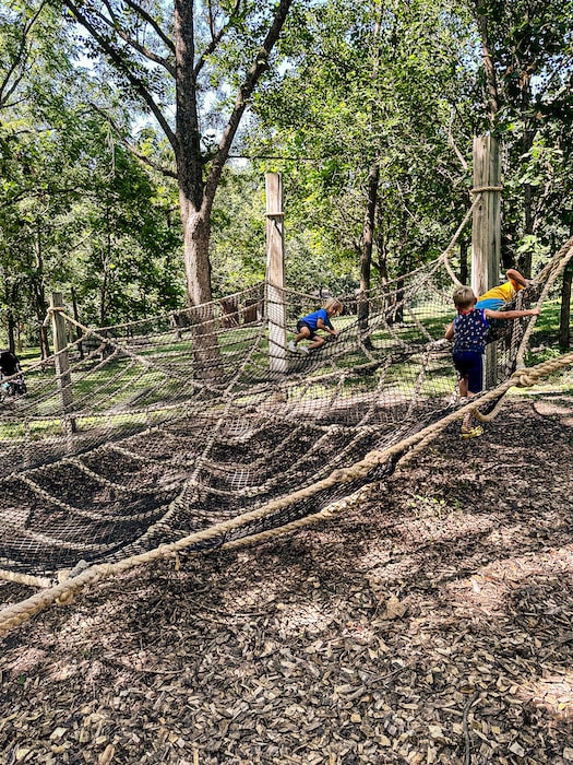 Kids playing on the rope spider web at Tree Adventure.