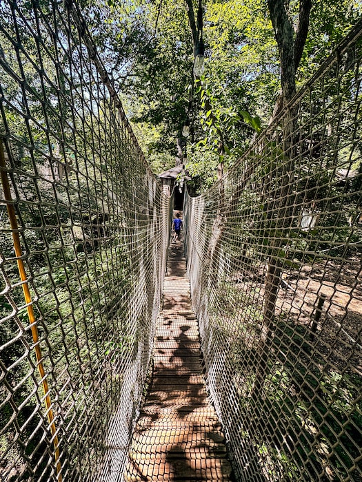 View of a suspended bridge at Treetop Village.