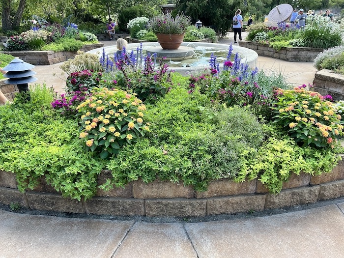 A flower bed with a variety of colorful flowers and greenery at the Omaha zoo.