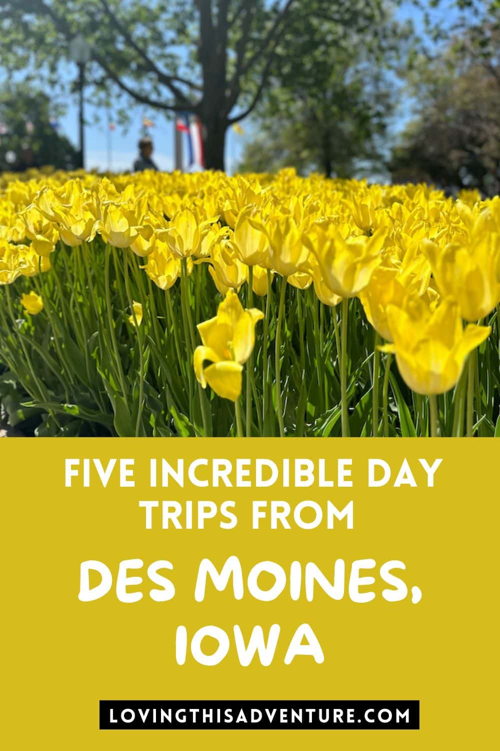 5 Perfect Day Trips from Des Moines for Families Loving