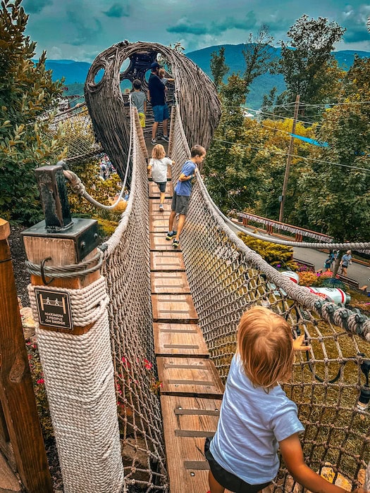 Kids crossing a rope bridge in Anakeesta’s Vista Gardens toward a wooden nest, Smoky Mountains in the background.