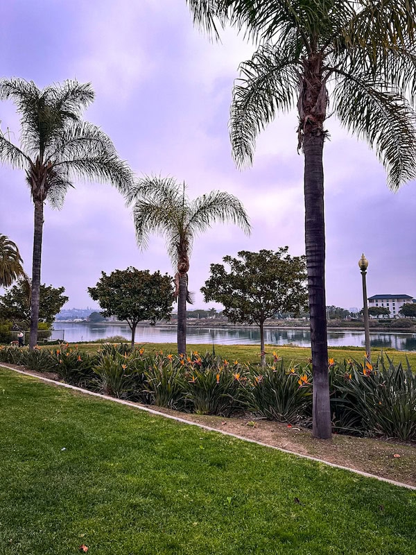 Waterfront lawn behind Homewood Suites Liberty Station with palm trees and the inlet visible beyond.