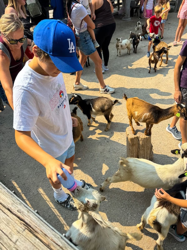Boy feeding baby goats with a bottle at Deanna Rose Children’s Farmstead in Overland Park, Kansas, surrounded by families enjoying the petting area on a sunny day.
