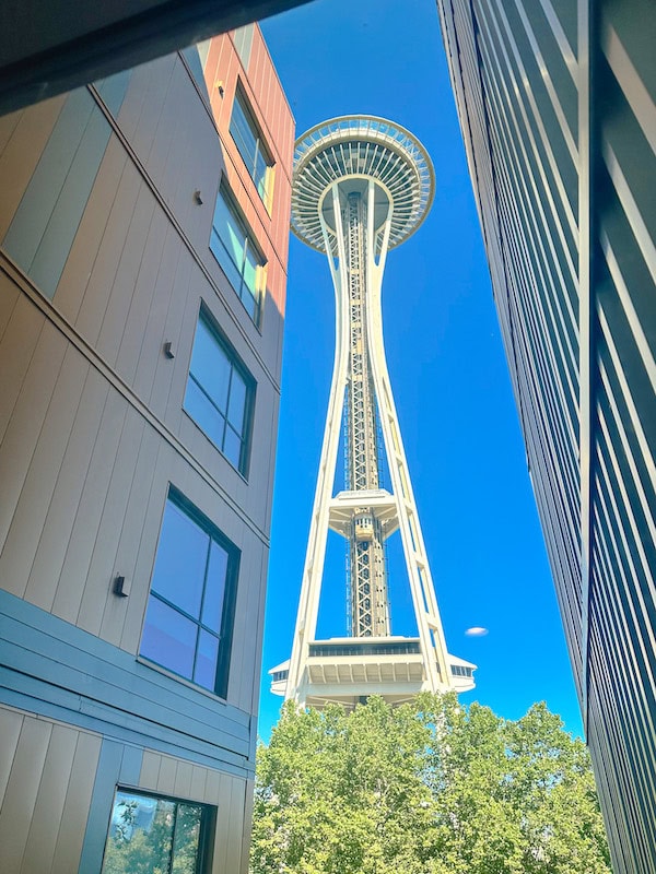 A view of the Space Needle framed between two sections of a tall modern building, seen from a window, with blue sky and trees below.