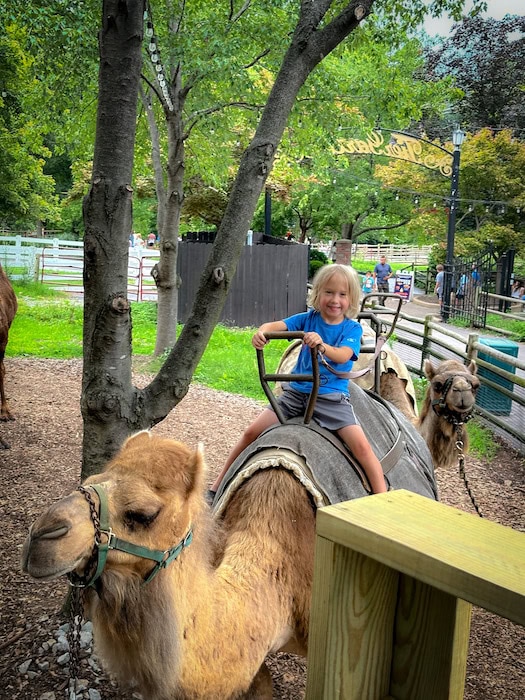 Top 5 Free Things to Do in St. Louis with Kids