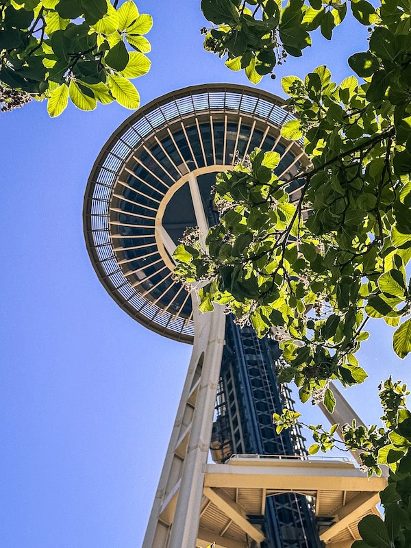 A close-up upward view of the Space Needle framed by green tree leaves on a clear blue day.