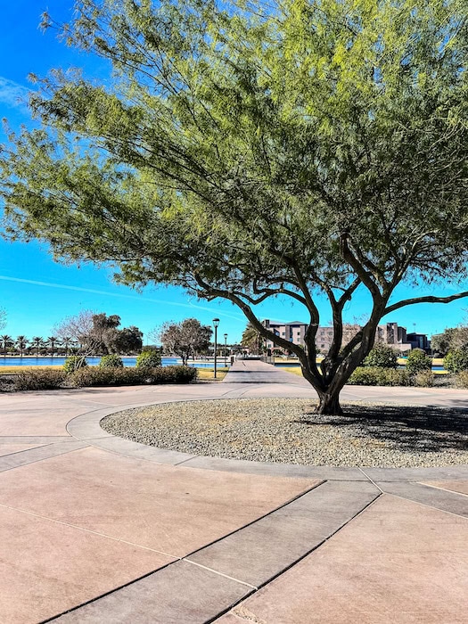 Walking paths and desert landscaping at Riverview Park in Mesa, Arizona on a sunny day.