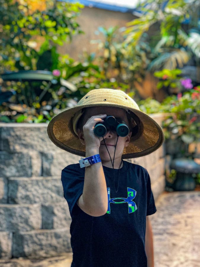 Child wearing a safari-style hat and using binoculars inside the Butterfly Palace in Branson, Missouri, surrounded by lush indoor greenery.