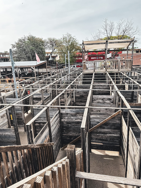 Wooden cattle pen style maze with narrow walkways and high wood walls at the Fort Worth Stockyards viewed from above