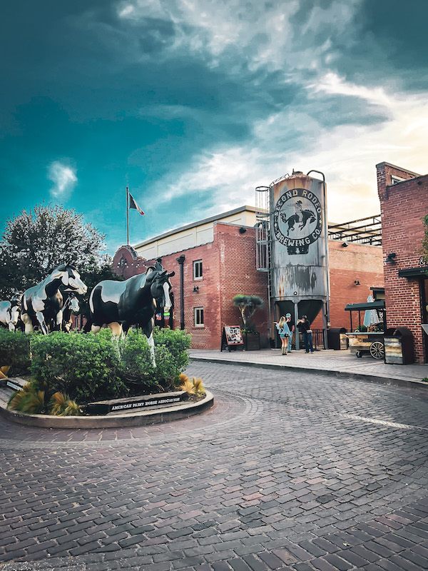 Entrance to Second Rodeo Brewing in Mule Alley with painted horse statues, brick buildings, and cobblestone street at the Fort Worth Stockyards