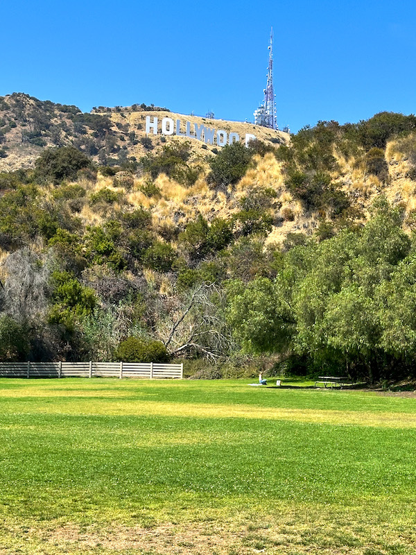 View of the Hollywood Sign from the grassy field at Lake Hollywood Park in Los Angeles, California.