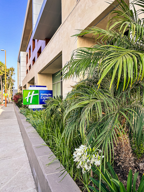 Holiday Inn Express & Suites Glendale Downtown building with hotel sign, landscaped palm trees, and sidewalk entrance.