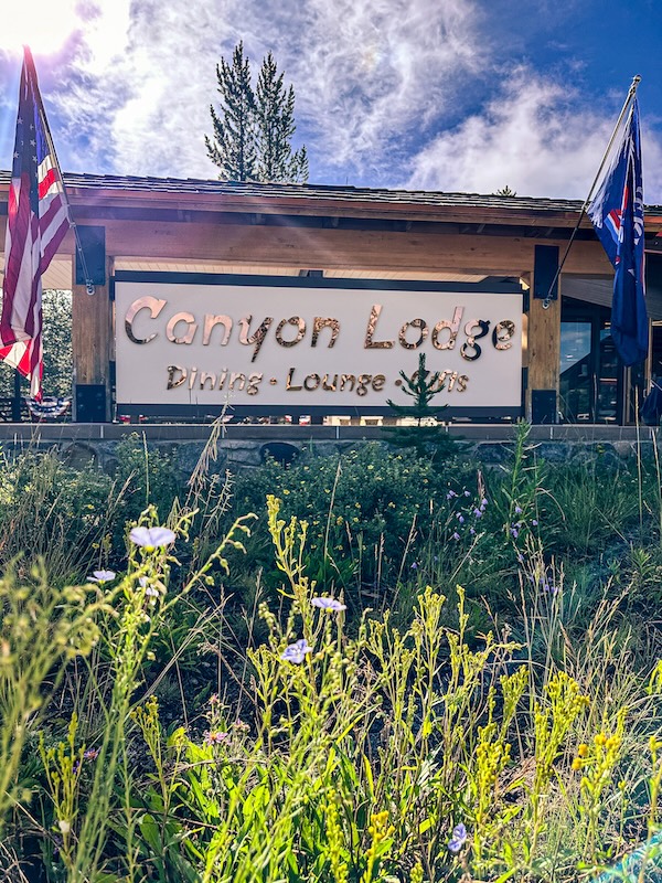 Canyon Lodge Dining, Lounge and Gifts sign surrounded by wildflowers in Yellowstone National Park.