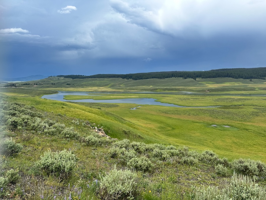 Expansive green landscape and winding water in Hayden Valley under stormy skies in Yellowstone National Park.