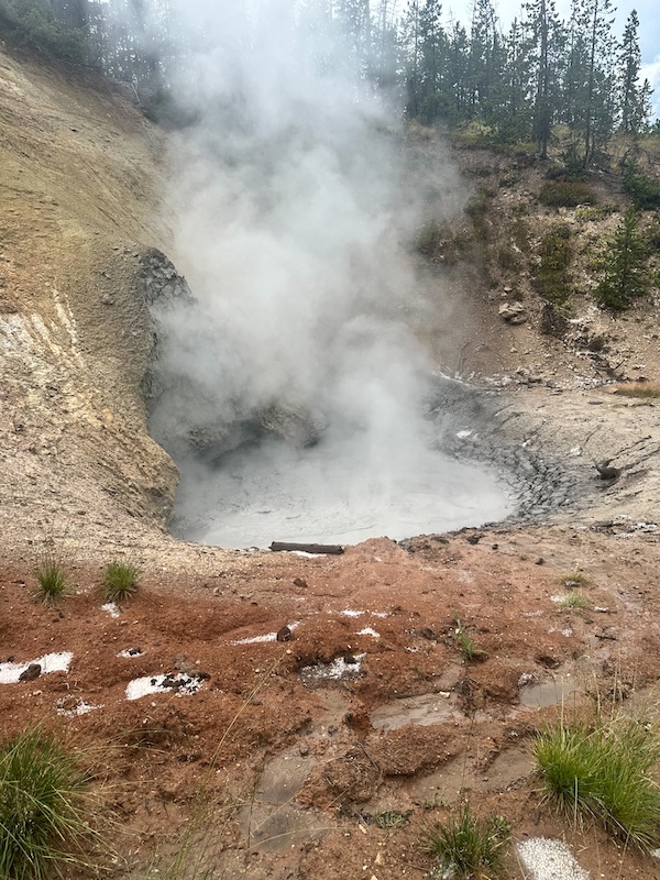 Steam rising from a bubbling mud pot at Mud Volcano in Yellowstone National Park.