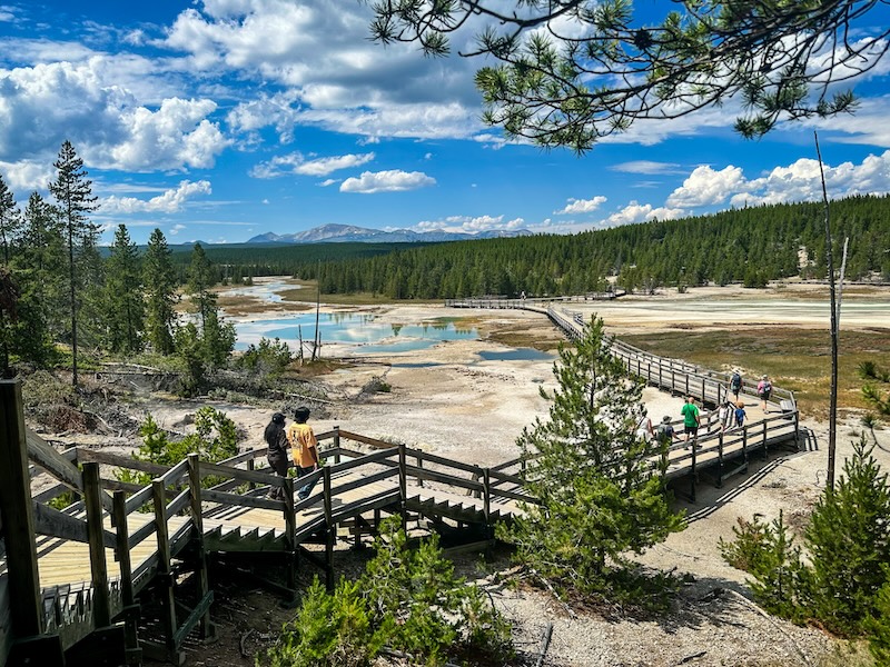 Boardwalk and stairs winding through colorful hot springs and thermal features at Norris Geyser Basin in Yellowstone National Park.