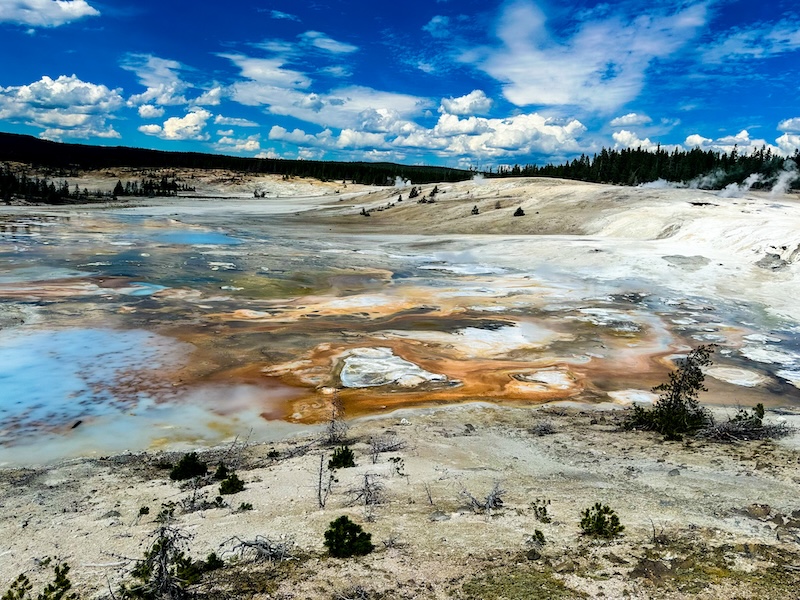 Expansive view of blue and orange thermal pools and steaming vents at Norris Geyser Basin in Yellowstone National Park.