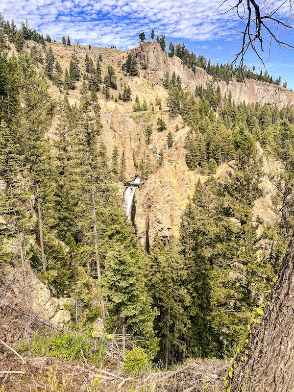 Tower Fall cascading through a rocky canyon surrounded by pine trees in Yellowstone National Park.