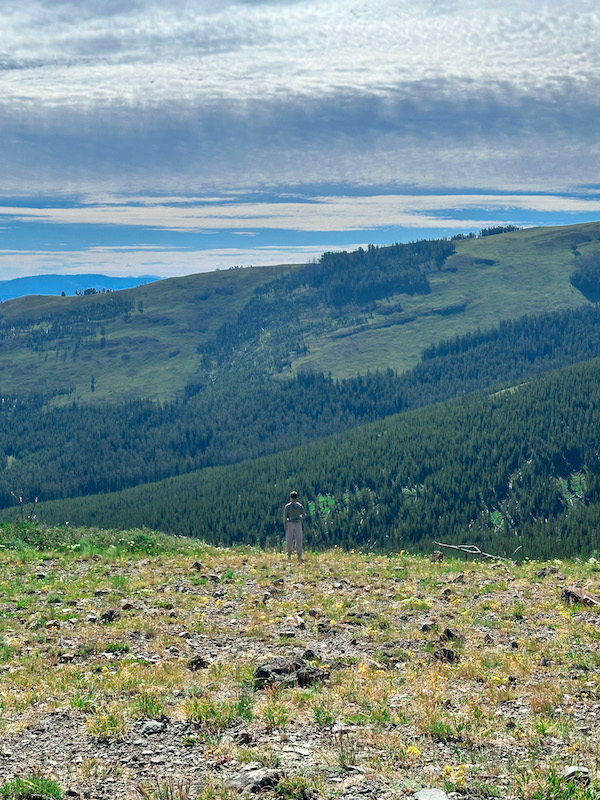 Expansive mountain and forest views near Mt. Washburn in Yellowstone National Park with a person standing in the meadow.